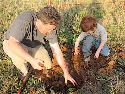 planting-tree-with-henry